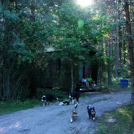 Surfhunt Holiday House Holiday home *