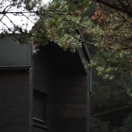 Surfhunt Holiday House Holiday home