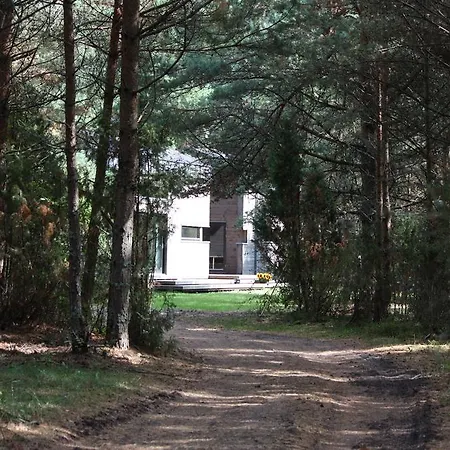 Surfhunt Holiday House *