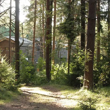 Surfhunt Holiday House *